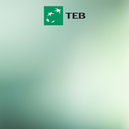 TEB