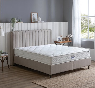 Blue Star Lento 3'lü Set
